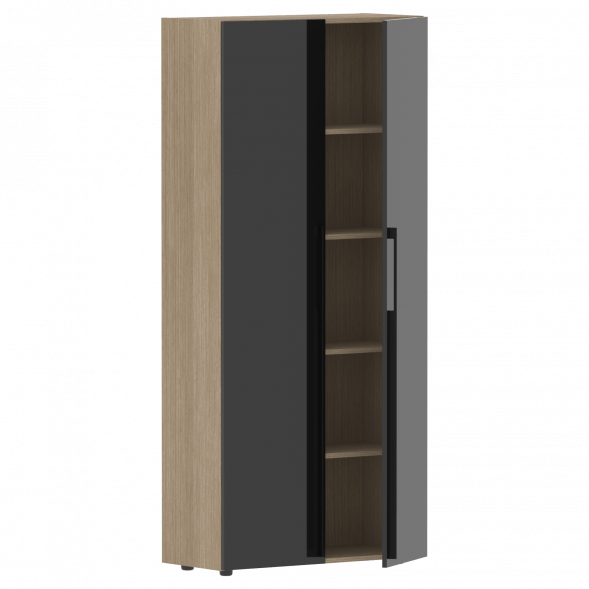 Шкаф высокий глухой СП-064-25-14 900х450х2010 KANON